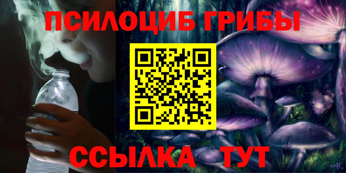 Галлюциногенные грибы прущие грибы  Вход с VPN  Оренбург  Псилоцибиновые грибы мицелий 